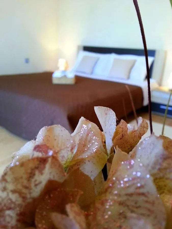 San Cassiano Apartmani Sukošan Croatie